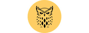 Logo Wise Owl Outfitters