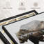 «The Kodiak Brown Bear», reproduction sur toile-958156941