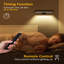 Battery Powered LED Wall Mount Picture Light