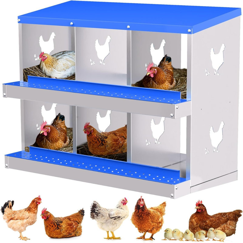 Boîte de nidification à poulet 6 compartiments en métal sans pieds (bleu), Blue/Silver