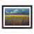 Black Framed selected