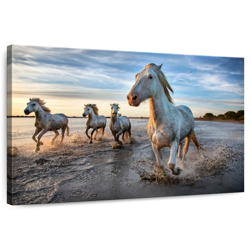 Brampt, cheval de Camargue blanc qui court dans l'océan IV, H 26 po x l 39 po