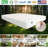 Agra Mattress - Organic Latex 8" Plush 1Layered Comfortable Sleep Bed Dust Free-112231710