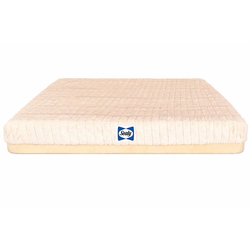Sealy Memory Foam Crate Mat, Tan, L, L, Tan