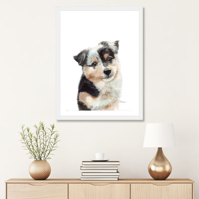 " Australian Shepherd Puppy "
