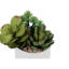 Faux Plant
