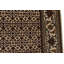 Oriental Area Rug