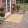 Cyrina Performance Oriental Indoor/Outdoor Area Rug
