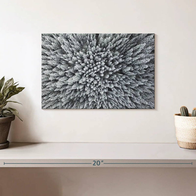 Alvord White Pine, 8" H x 12" W