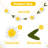 Daisy Flower String