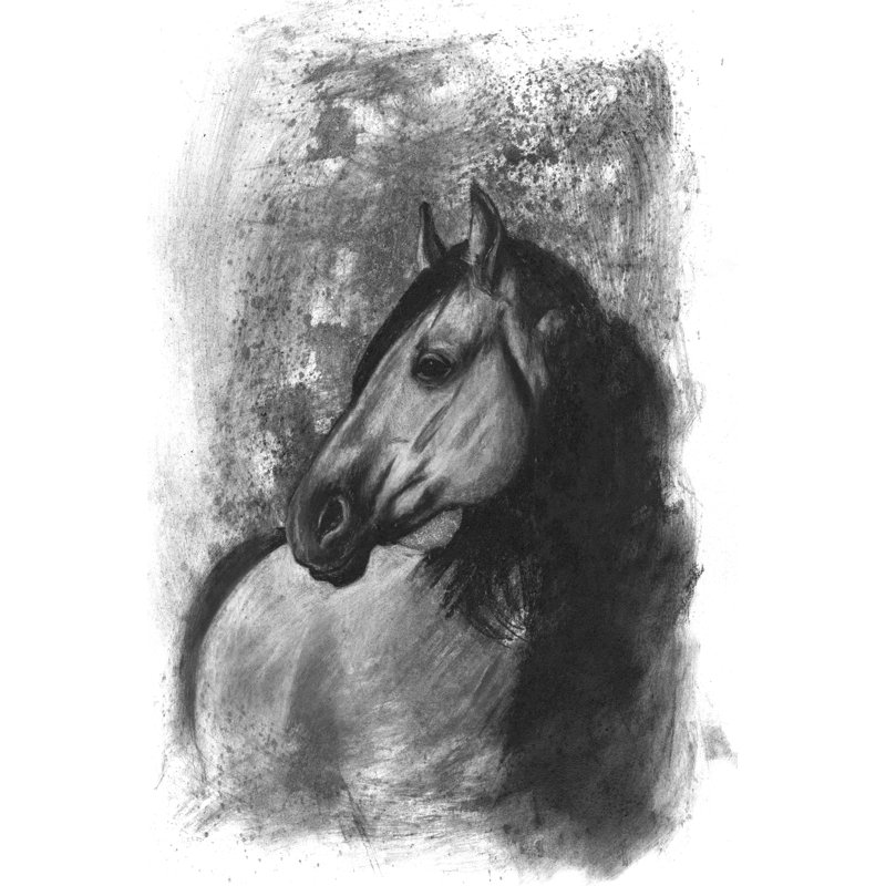 Portrait équestre gris anthracite IV, H 48 po x l 32 po x P 1,25 po