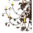 Barba 25 - Light Dimmable Empire Chandelier