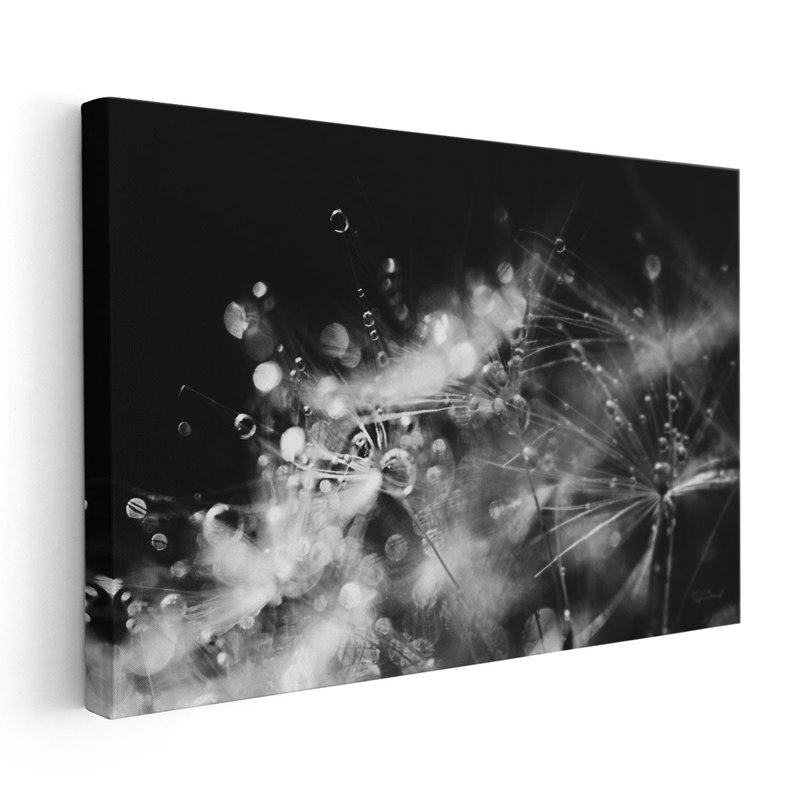 «Dandelion Abstract II Black and White», reproduction d'art sur toile, H 16 po x l 24 po
