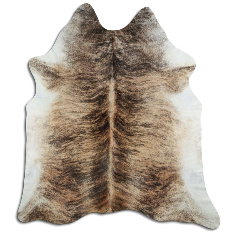 Beige Brindle Colona