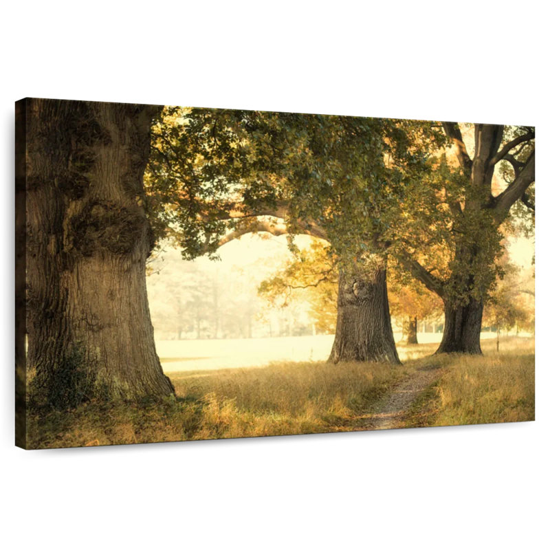 Harnek Old Oaks dans un champ, H 20 po x l 30 po