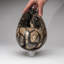 Septarian Druzy Egg