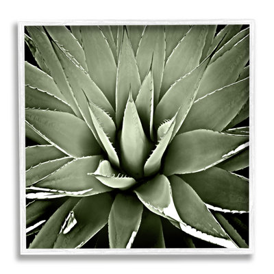 «Succulent Plant Lush Leaves» encadré sur bois par Lindsay Benson, peinture