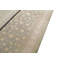 Oriental Area Rug in Beige/Gray