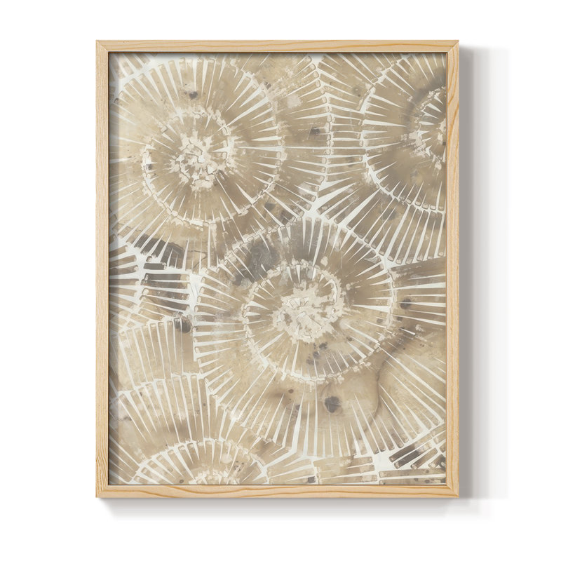 Fossil Nautilus I, reproduction encadrée - bois massif, Naturel, H 15 po x l 12 po