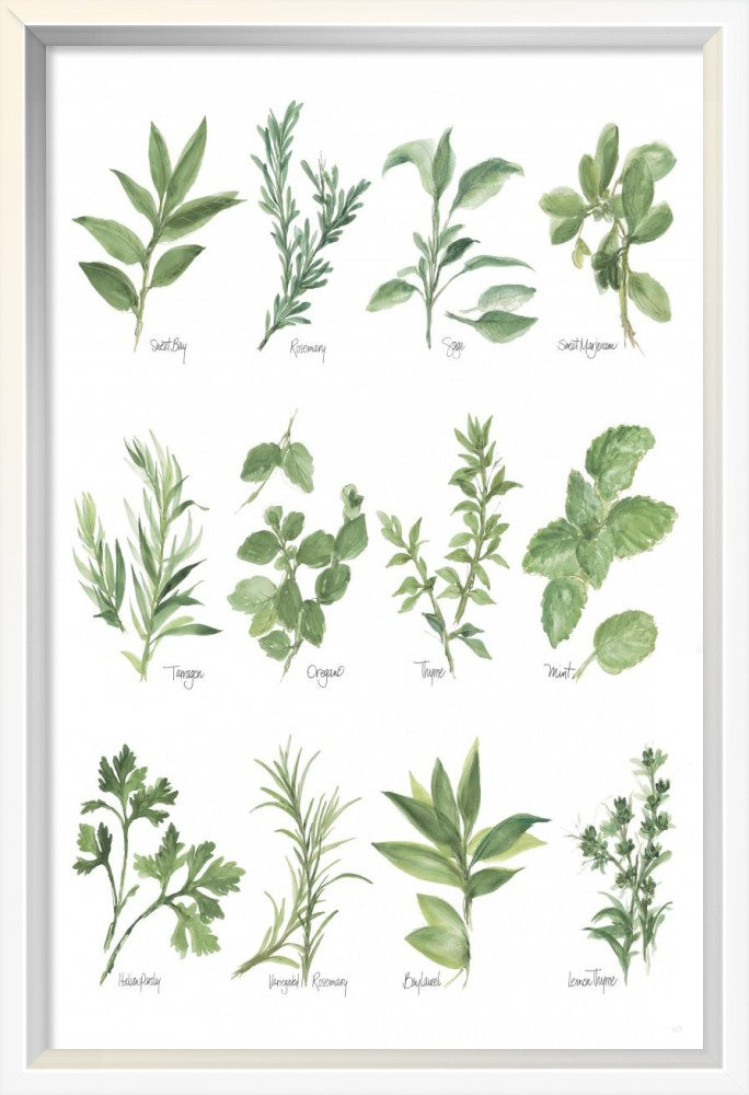 " Herb Chart " by Chris Paschke East Urban Home 