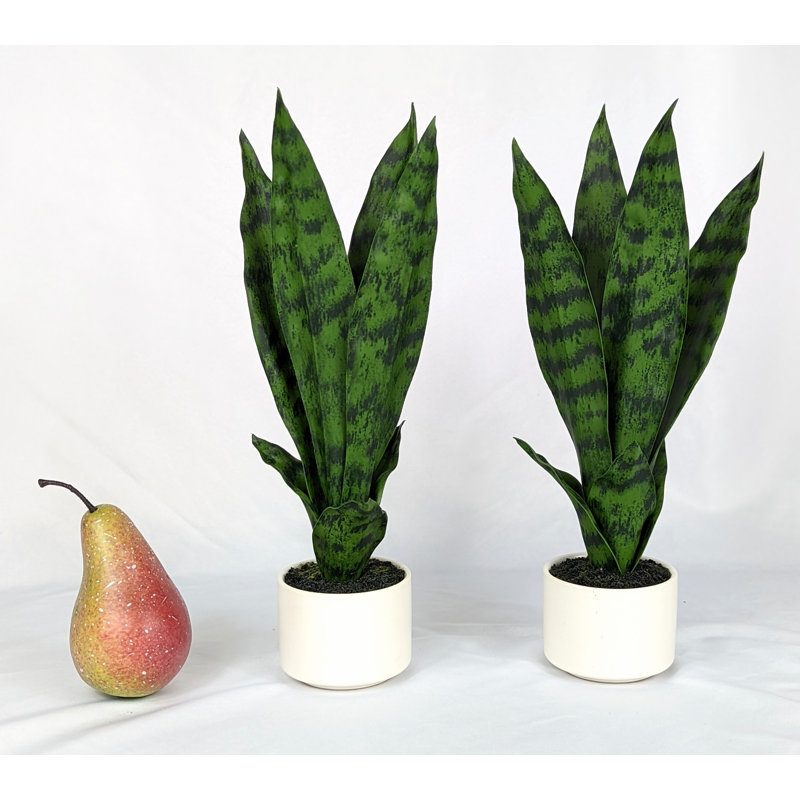 14'' Faux Snake Plant (Sansevieria) Plant in Ceramic Pot