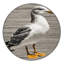 Tapis lavable argenté Gull Birds-1772570818