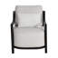 Samara Cushioned Lounge Chair w/ One Accent Pillow