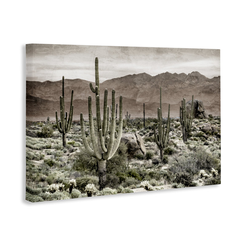 Toile de désert, cactus, par Kim Allen, H 16 po x l 24 po
