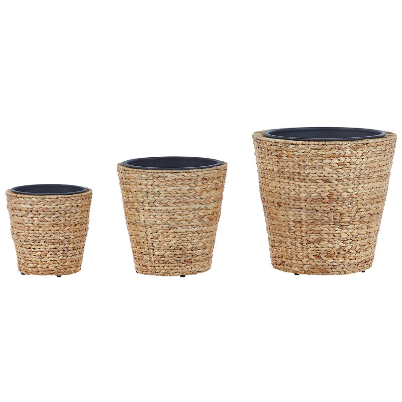 Niwot Plant Pot