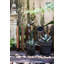 Clôture en bois massif Morella-2089045139
