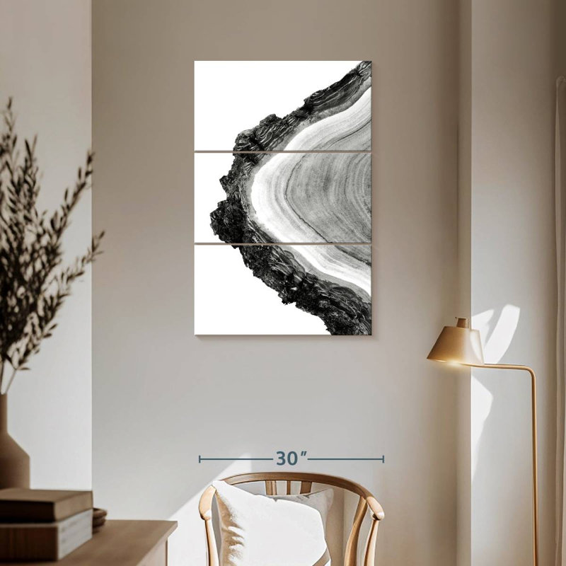 Coupe transversale d'un arbre Harnek, H 57 po x l 36 po