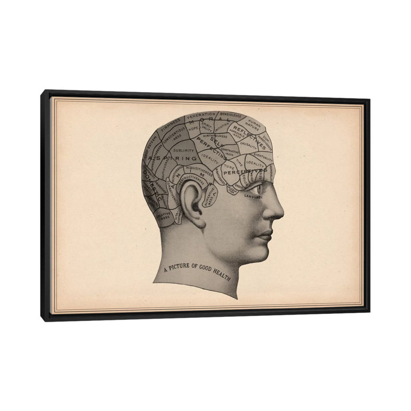 Cartography 'Phrenology Human Head' - Graphic Art Print on Canvas, 18" H x 26" W x 1.5" D, Black Framed Canvas, No Mat