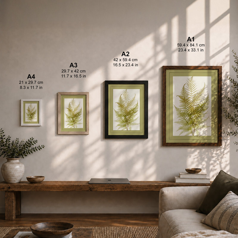 Fern Study In Olive Botanical - Print, Unframed, A4 - 29.7 x 21.0 cm