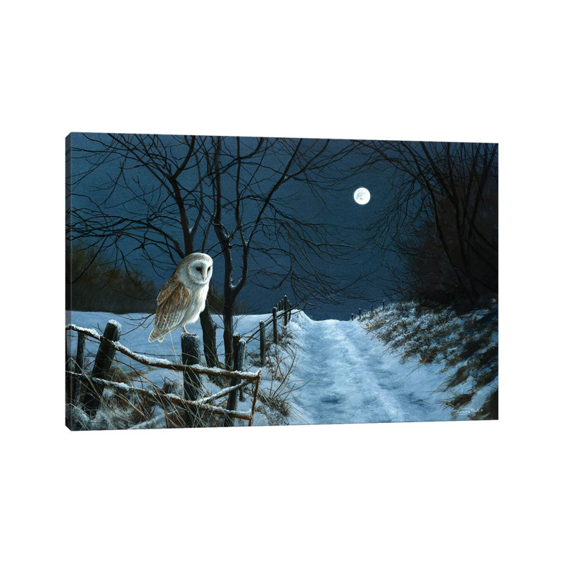 Hunter's Moon - Barn Owl by Jeremy Paul - Wrapped Canvas Print, 30.48cm H x 45.72cm W x 1.905cm D