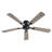Cissline 52" Flush Mount Modern Ceiling Fan with Remote for Bedroom/Living Room