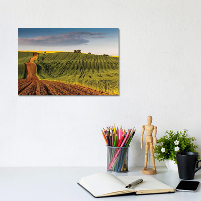 Czech Republic, Moravia, Rapeseed Field III by Mikolaj Gospodarek - Wrapped Canvas Print