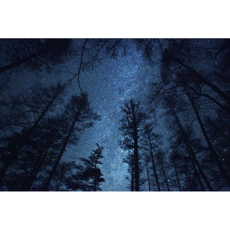Desiray Milky Way and Trees - Photographie sur toile tendue, H 32 po x l 48 po