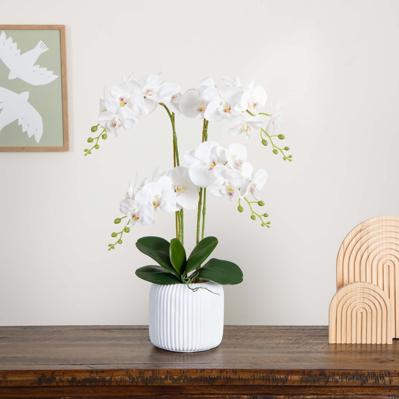 26in. Artificial Phalaenopsis Orchid Arrangement in Decorative Ceramic Vase (Real Touch)