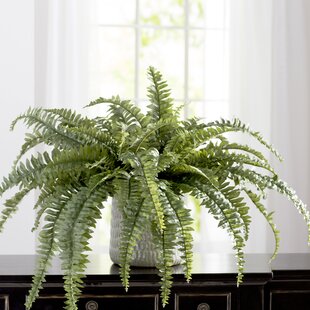Galebeiren Artificial Ferns for Outdoors & Indoors, 45 Large Faux Ferns 57  Fronds Fake Boston Fern Plant for Planter Garden Porch Entrance Home