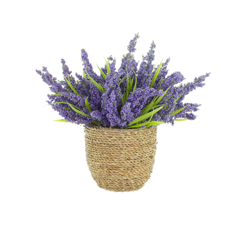 Heather dans un pot de paille, Mauve