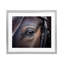 «Equine Gaze Gros plan, reproduction encadrée sous verre» par Seven Trees Design-1642322243-1642322255