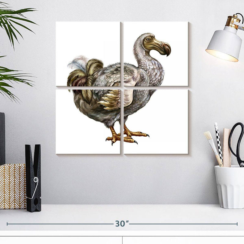 Brampt Dodo, H 18 po x l 18 po