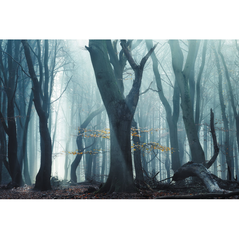 Moody Mess par Martin Podt, H 12 po x l 18 po