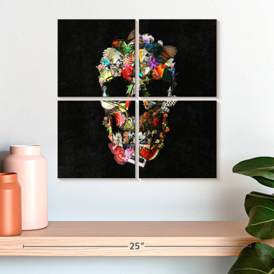 Fragile Skull