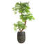 Handmade Pot Planter-112376037