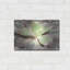 «Glowing Succulent I» par Lori Deiter-774869373