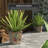 Handmade Pot Planter