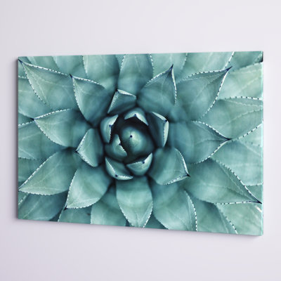 " Turquoise Succulent "