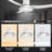 Edder 52'' Ceiling Fan with LED Lights