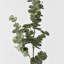 Branche d'eucalyptus artificiel Audet (1 tige)-1336703816